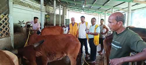 Animal Health Camp by LCB City